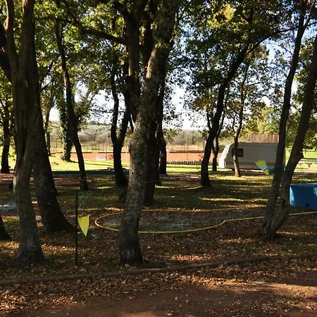 Dragica 2 Apartament