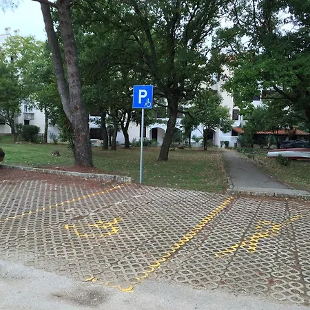 Dragica 2